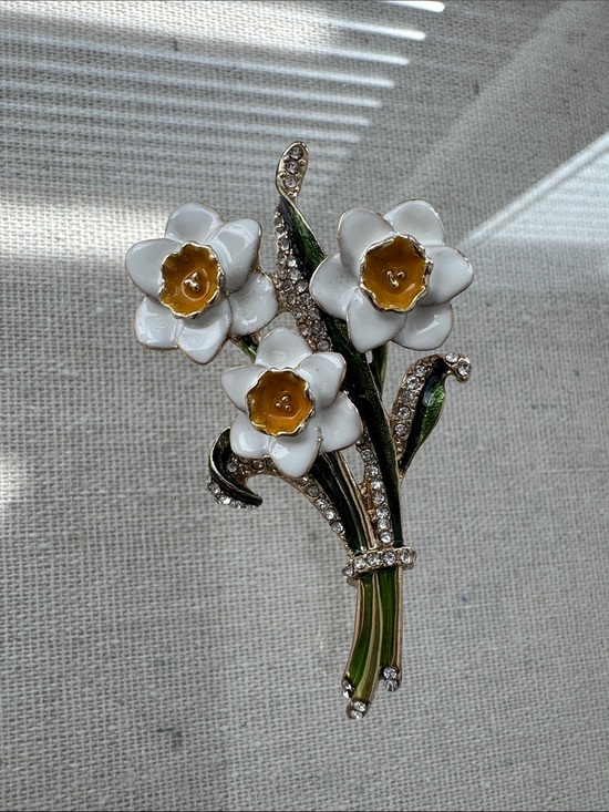 Jewelry - Napier Brooch